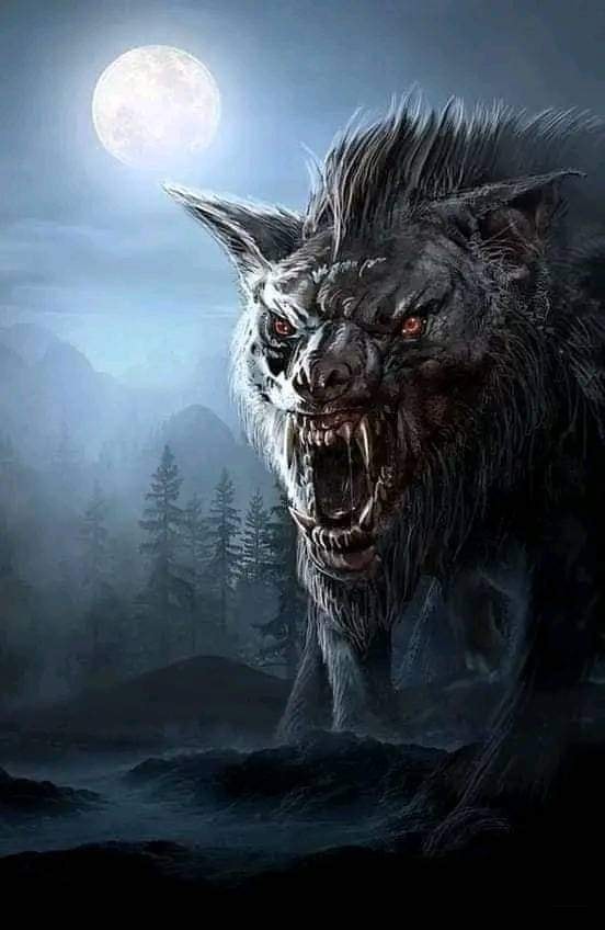 Lobo en la Noche