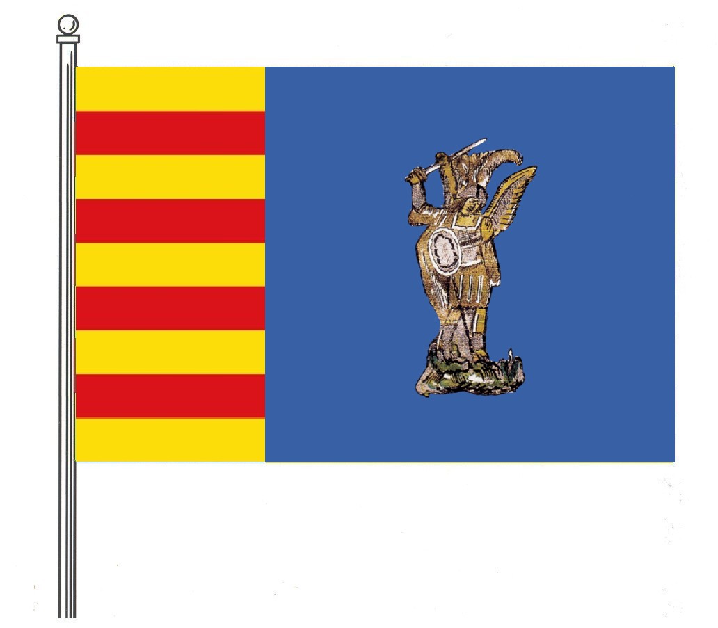 Bandera de San Miguel de Salinas