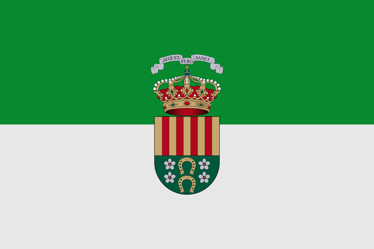 Bandera de San Vicente del Raspeig